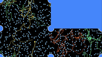 Brownian particles on a surface of genus 2