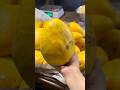 Mango Bigger Than My Face?! 😦🥭 | Sabzi Mandi Shopping