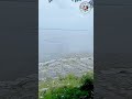 মন ভালো করার মতো এক জায়গা | যমুনা নদীর পাড়। #shorts #viral #shortvideo