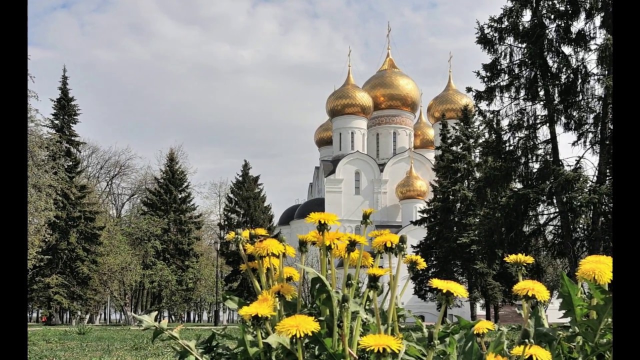 Магазин Природа Ярославль Официальный Сайт Каталог