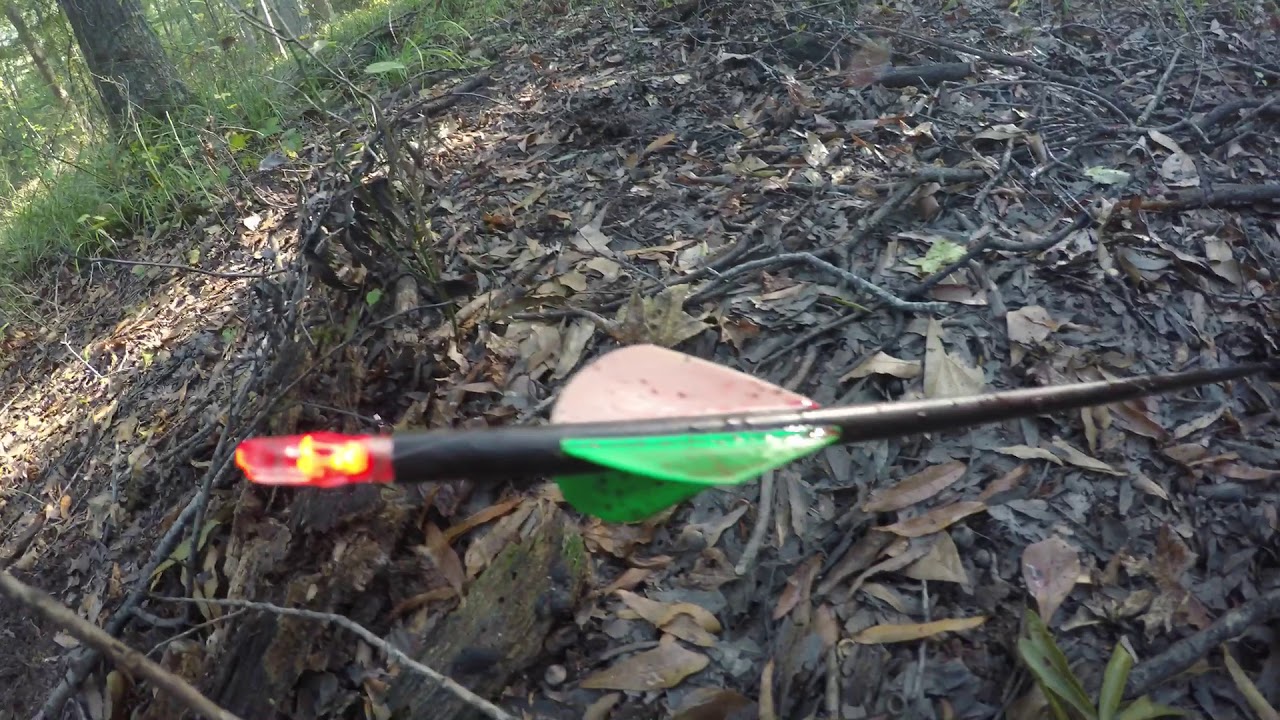 Buck Down, 4 Point 10/17/17 Pt.2 Red Arrow