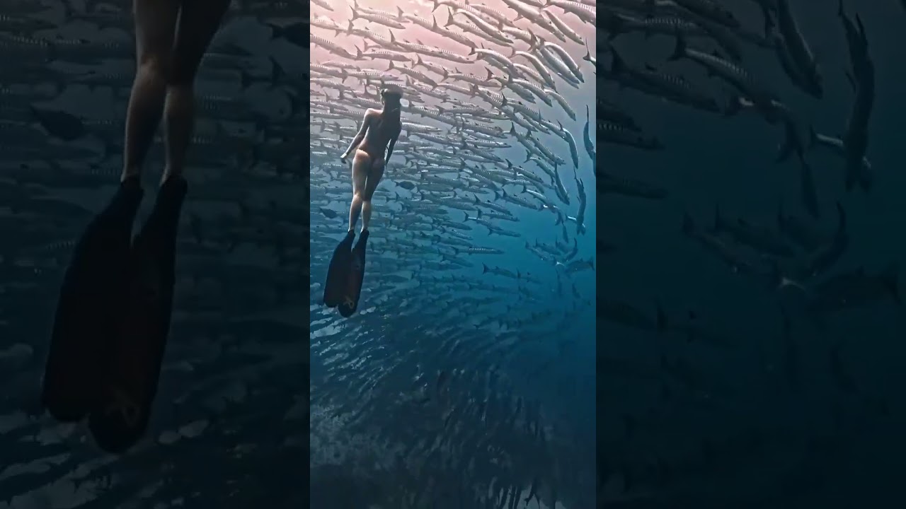 Dive into the underwater world to a great depth.