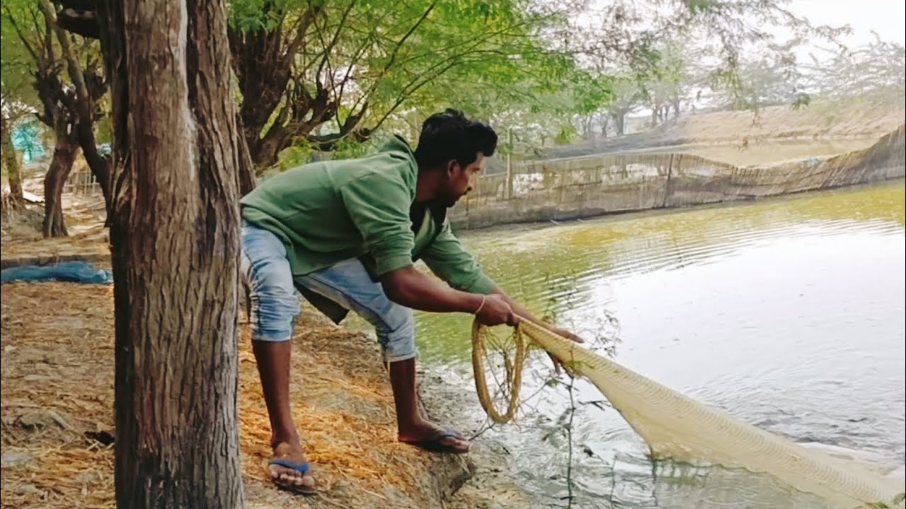 Cast Net Fishing Videos || Talab Se Machli Kaise Pakden || Big Cast Net Fishing 
