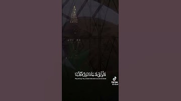تلاوات خاشعة مع الشيخ ناصر بن علي القطامي مزامير الفرقان تلاوات القطامي