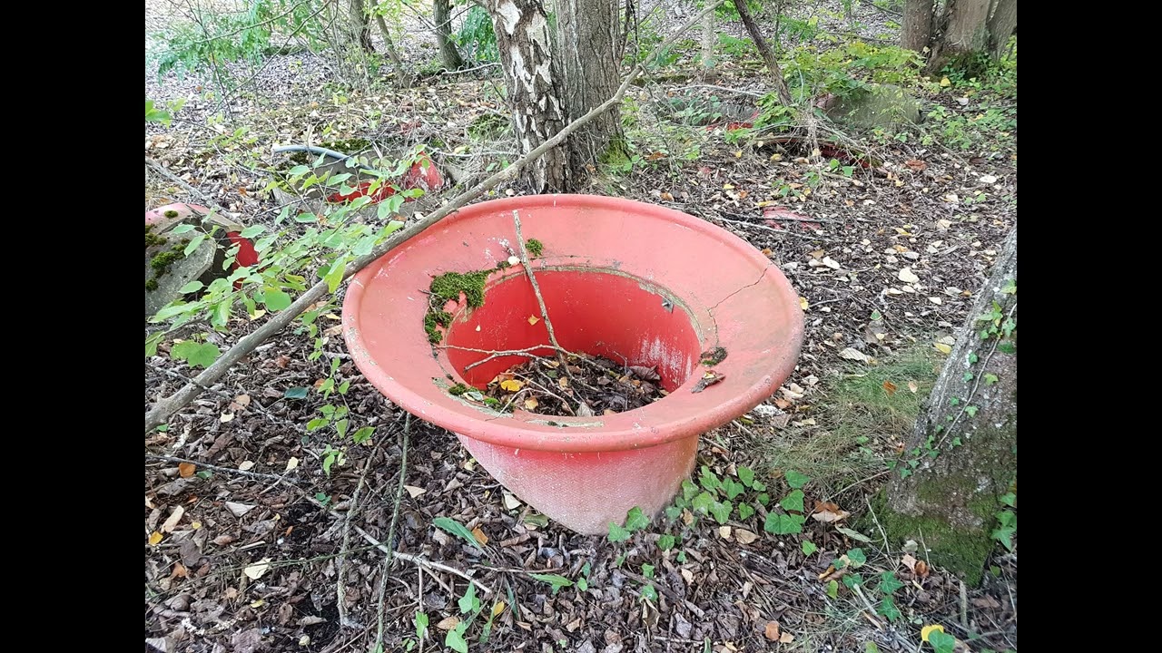 visite mirapolis 2017