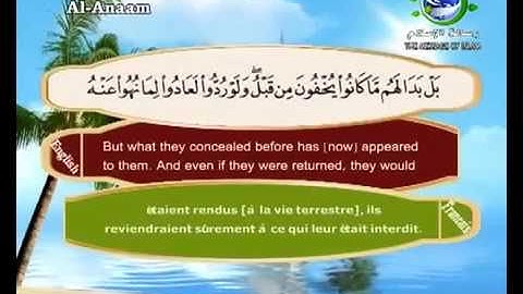 سورة الأنعام سعد الغامدي