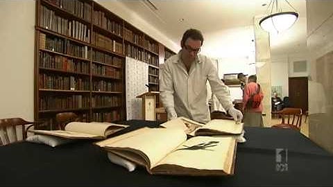 Historical drawings come home to Sydney