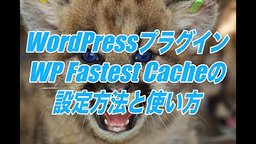 WP Fastest Cacheの設定方法と使い方-WordPressの高速化ができるプラグイン