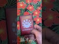 【MTG】２ヵ月前の５０００円オリパ開封したら爆アドになってた【晴れる屋】　#shorts