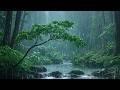 Fall Asleep Naturally With Heavy Rain On A Forest Stream ASMR Rain Sounds On A Forest Lake 