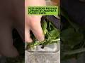 How to Store Salad Greens #shorts