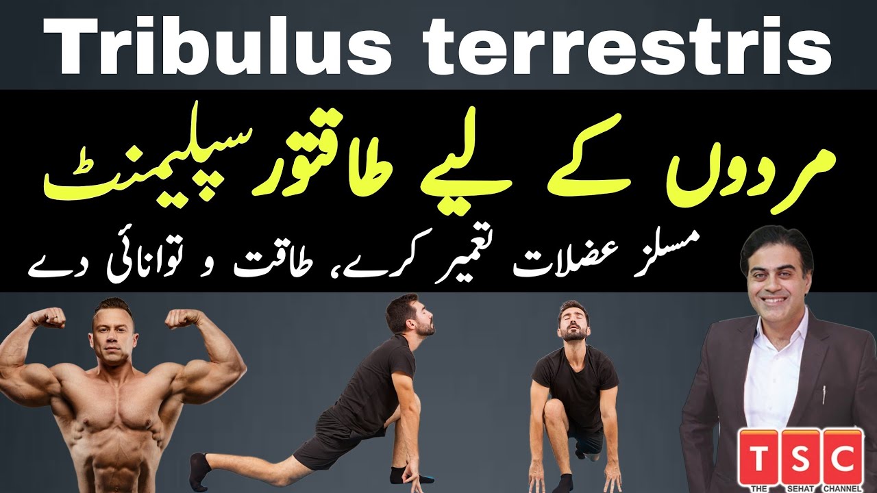 Gokhru Ke Fayde Pakhra Tribulus Terrestris for muscles Tribulus