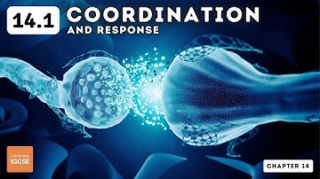 IGCSE Biology - Coordination and response (14.1)