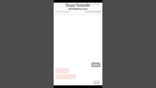 Part 2 Touya Todoroki text chat story