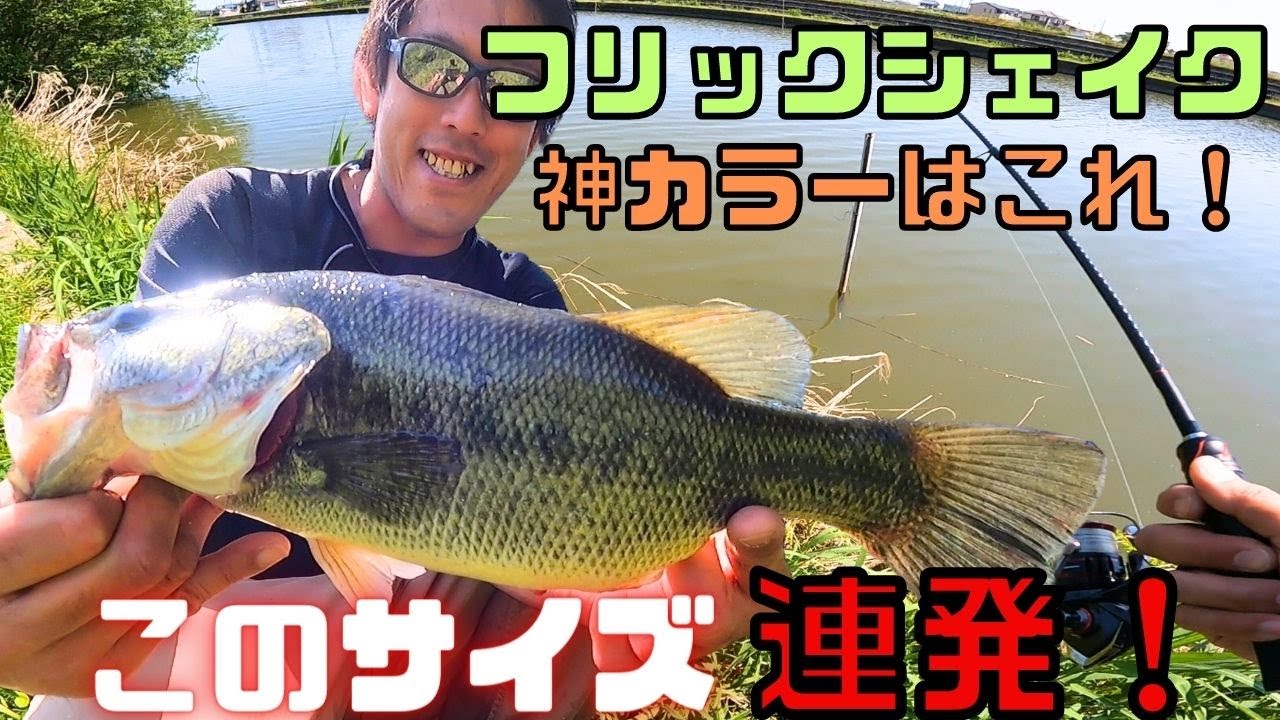デカバス連発！フリックシェイク4.8の神カラーを足元に落とすだけ！ [大江川]
