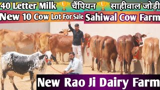40 Letter Milk 🏆 चैंपियन 🏆 साहीवाल गाय की जोड़ी  🎉  top 10 Sahiwal Rathi Cholistani Cow For Sale