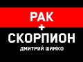 СКОРПИОН+РАК - Совместимость - Астротиполог Дмитрий Шимко