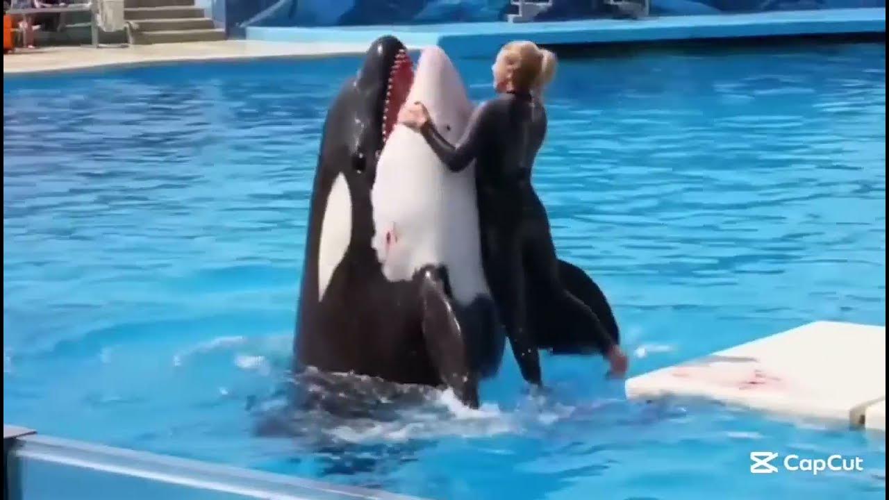 Oyoqlar porno oyoq fetishi