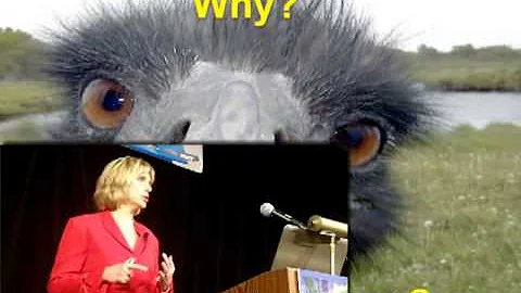 Dr. Leah Dorman - 2013 Antibiotic Symposia Welcome...