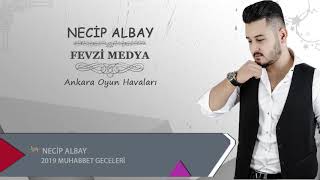 NECİP ALBAY ► BADI SABAH & KOCAMIŞSIN KOCAMIŞ & ZAHMET Mİ OLUR ◄ ♬ 2019 CANLI PERFORMANS ♬ Resimi