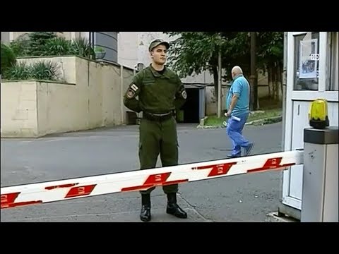 კომპანია „სვეტის“ დირექტორის დაკავების საქმე