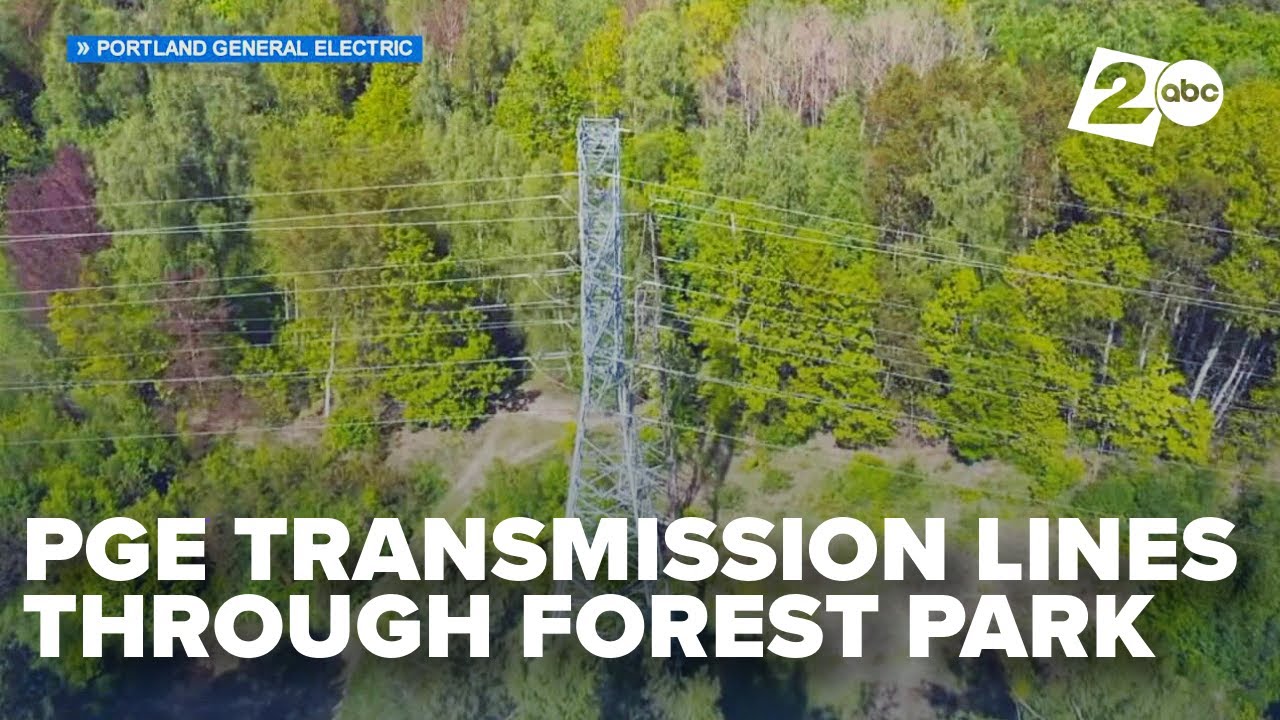 Proposal to remove hundreds of trees in Portland's Forest Park for PGE ...