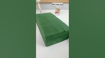 Puff’s got something oddly satisfying to show you. #thatlittlepuff #satisfying #catsofyoutube