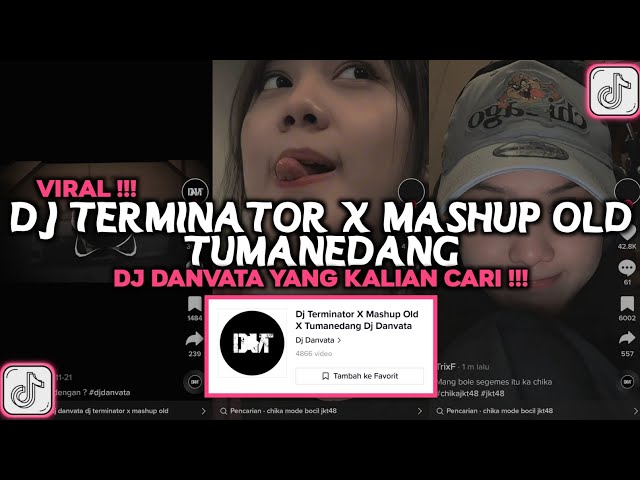 DJ TERMINATOR X MASHUP OLD TUMANEDANG DJ DANVATA VIRAL TIKTOK 2023 class=