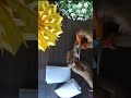 Simple DIY Paper Christmas ⭐✨ l Christmas Star Craft #papercrafts #shorts