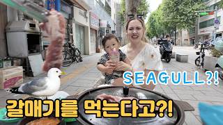 한국어는 너무 어려워..."진짜 갈매기"를 먹는 줄 알았던 미국인 아내 😂 American Wife Shocked Koreans Eat Seagull Meat?!?