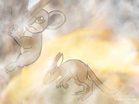 Nightcore fire on fire (Save Australia)