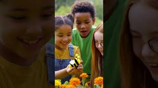 Meet Buzz: Uncovering the Magic of Bees in Pollination