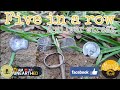 Five in a row, a silver streak | OMG amazing day | Metal Detecting UK |#simplexplus|#teamuneartheduk