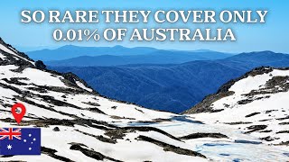 The RAREST Alpine Ecosystem on Earth: Australia's Iconic Snowy Alps