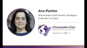 Ana Pombo - Specialization of 3D Genome Topologies in Specific Cell Types: Chromatin-Con: 2021