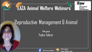 EAZA Animal Welfare Webinar – Yedra Feltrer – Reproductive Management & Animal Welfare