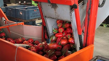 PAPRIKA BEDRIJFSFILM