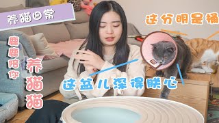 猫砂盆一周使用报告这种猫砂盆到底是叫“盆”还是叫“桶”