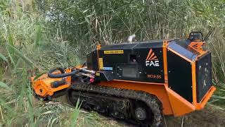 FAE RCU-55 with Flail Mower PML/RCU-150 by gbequipmentinc 1,370 views 7 months ago 54 seconds