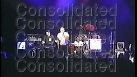 Consolidated - Typical Male - Unity Of Oppression