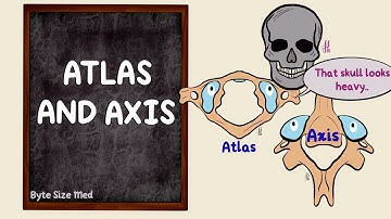 Atlas and Axis | The Vertebral Column | Osteology | Anatomy Doodles
