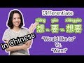 想 xiǎng vs. 要 yào  - Day 31: What Would You Like to Eat? | Learn Chinese for Beginners