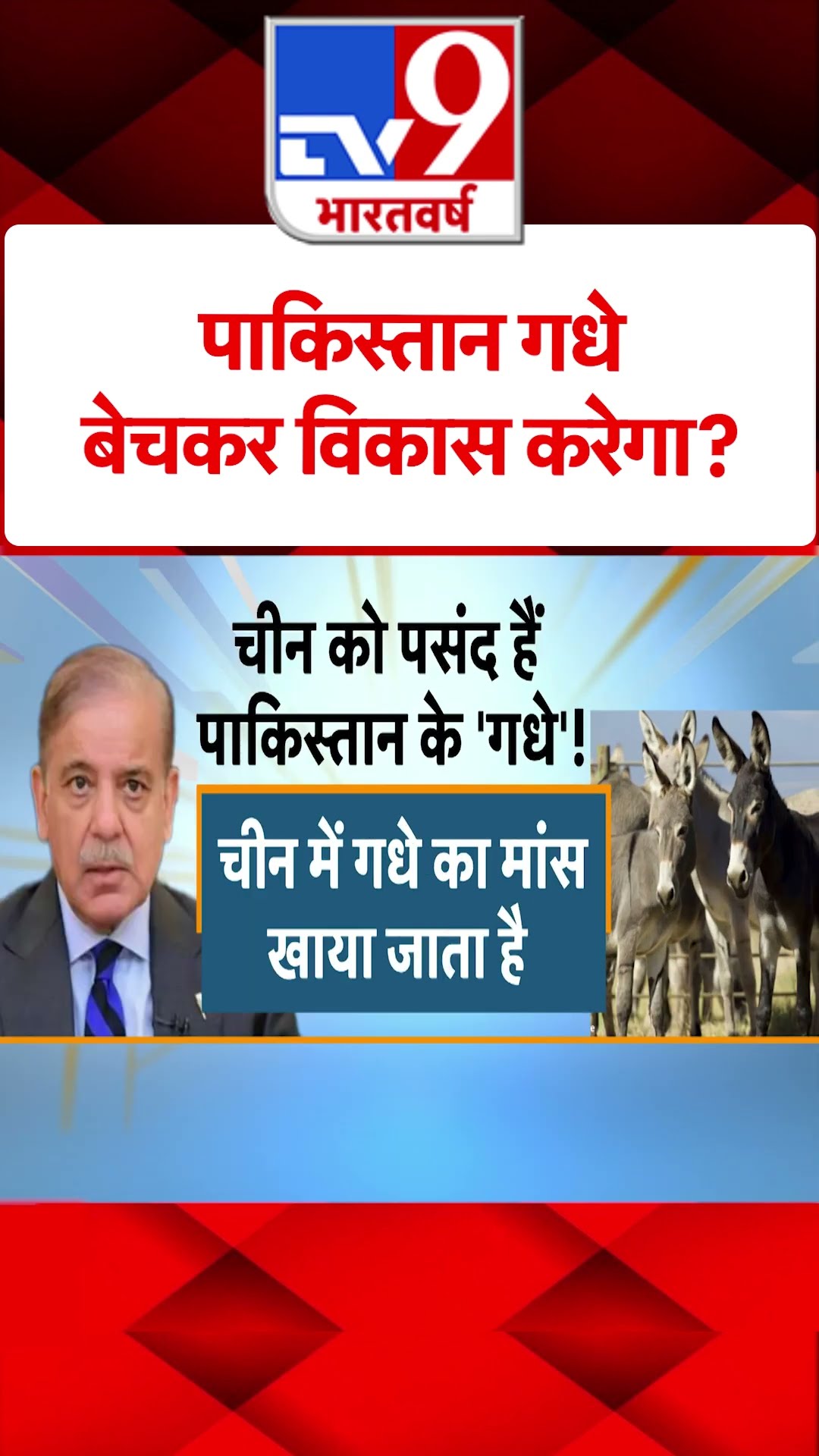 पाकिस्तान गधे बेचकर विकास करेगा?#tv9shorts | Pakistan | Donkey