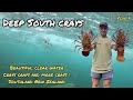 Free diving for crayfish in southland new zealand crystal clear water  catch and cook