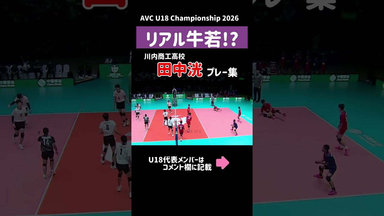 【リアル牛若⁉️】田中洸 AVC Boys U18 Volleyball Championship 2026 #バレーボール　#volleyball #ハイキュー　#haikyuu #春高 #牛島