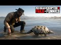 Red Dead Redemption 2 - Fails &amp; Funnies #342