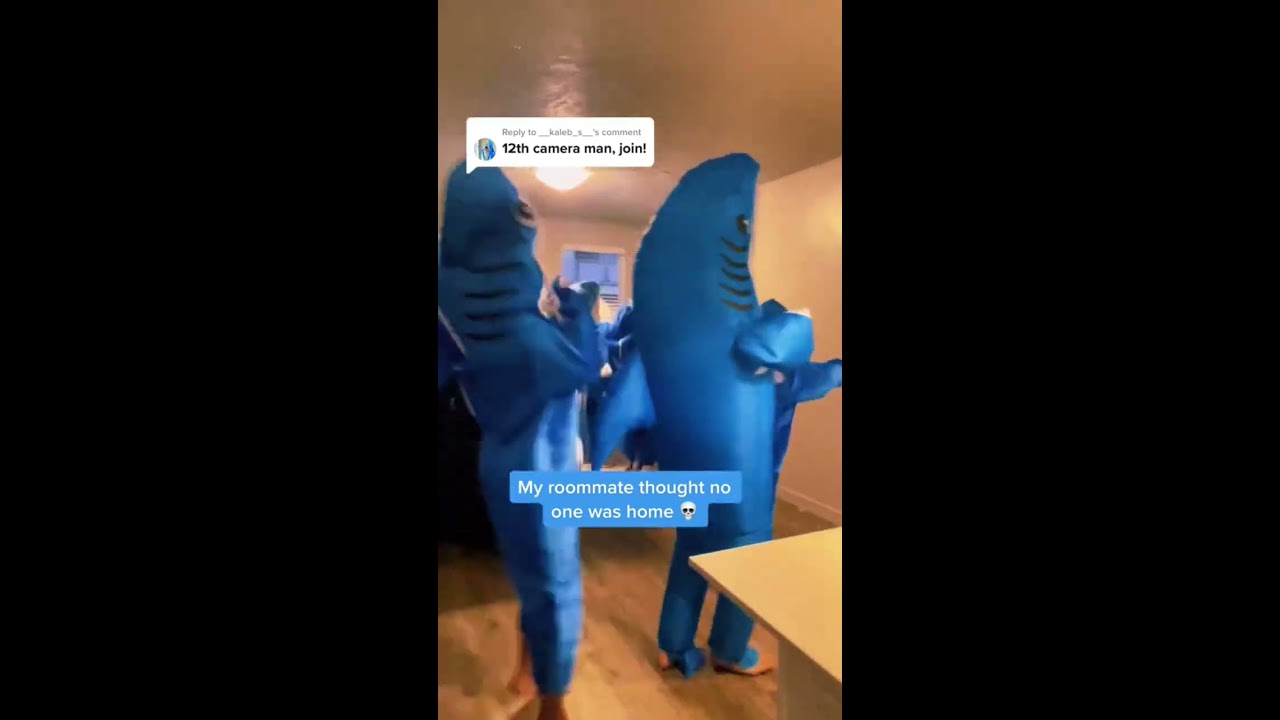 12th Cameraman Joins DancingShark Trend Katyperry Leftshark Californiagurls Sharkguy Shorts