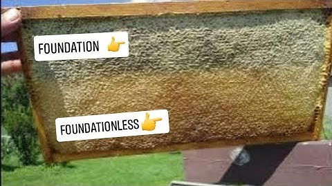 How I Put Frames together for Straight Combs in my Swarm Traps | Mostly Foundationless Frames