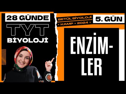 5) Enzimler | 9. Sınıf Biyoloji | 2024 TYT Biyoloji Kampı 5. Gün