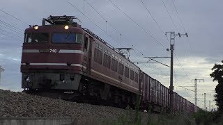 【JR貨物】８０５７レ ＥＦ８１-７１６